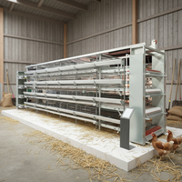 Cages à poulets galvanisées à froid de type H à 4 niveaux, cage verticale pour poules pondeuses