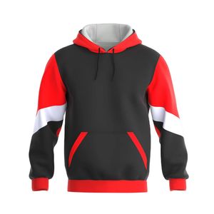 Sweat à capuche unisexe en molleton 100% coton 600g, imprimé numérique brodé bohème - Product Image 3