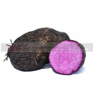 El ñame púrpura congelado de Vietnam es un alimento delicioso que tiene muchos beneficios para la salud para ayudar a prevenir enfermedades cardiovasculares - Product Image 2