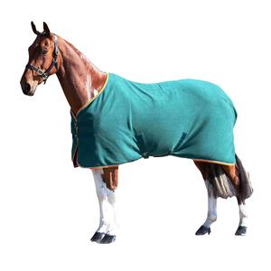 Mantas Protectoras de Malla Ecuestre Ligeras de Alta Calidad al Mejor Precio, Mantas de Cuero para Caballos Impermeables para Montar en Invierno, Personalizadas y Cómodas - Product Image 6