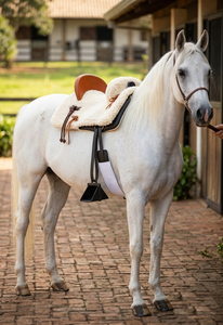 Silla de montar portuguesa española Vaquero disponible en cuero de 16 pulgadas, con armazón de fibra de vidrio, aparejos de equitación Vaquera española. - Product Image 6