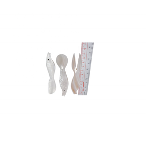 Cuillère de cuisine en nacre sculptée à la main en usine du Vietnam avec poignée en coque turbo pour la cuisine à domicile - Product Image 4