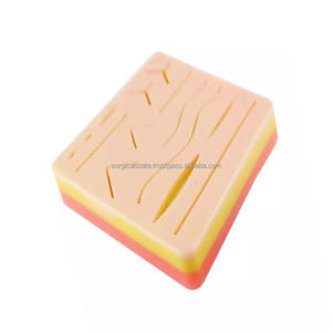 Kit de dissection en acier inoxydable avancé Kit d'instruments d'exploitation pour la chirurgie mineure Instruments chirurgicaux de base pour l'anatomie - Product Image 4