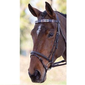 Brida de polo de cuero curtido vegetal teñido con tambor indio de alta calidad con banda de rodadura de nailon y hebillas de latón - Product Image 1