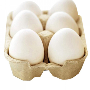 Achat en gros d'œufs blancs 100% biologiques, directement de l'usine, fournisseur d'œufs blancs au Brésil - Product Image 5