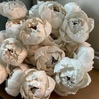 VADEE SOLA WOOD FLOWER Bunga Peony Putih Buatan 5cm Buket Kerajinan Berkelanjutan Buatan Tangan Dekorasi Pernikahan Rumah Model 003 Reed