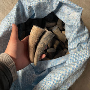 เขาควายธรรมชาติ ปลายขัดเงา สีดำธรรมชาติ คุณภาพสูง - Product Image 1