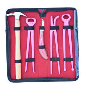 Kit de Herramientas de Herrador Rosa de Alta Resistencia con Martillo para Clavos, Cortaúñas para Pezuñas, Pinza Curva, Cuchillo para Pezuñas Tipo Cocodrilo y Herramienta de Extracción - Product Image 1