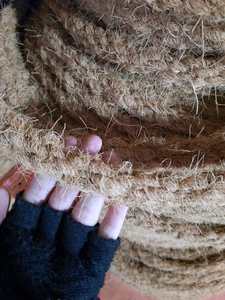 Corde en fibre de coco à torsion équilibrée pour le support des plantes en aménagement paysager et l'approvisionnement commercial - Product Image 5