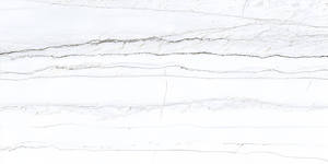 Carrelage mural et de sol en porcelaine moderne Grande Esclate Statuario 60x120 CM Finition mate polie CARREAUX DE PREMIÈRE QUALITÉ 8,5 mm Résistant aux acides - Product Image 3
