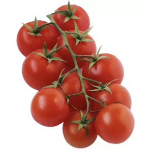 <span class=keywords><strong>Semi</strong></span> di Pomodoro Ciliegino Biologico F1, Pronti per la Raccolta, Rotondi e Rossi, Confezione da 25kg - Product Image 3