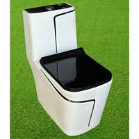 WC monobloc en céramique bleue élégante avec lignes noires - Sanitaires de luxe pour importateurs africains en gros