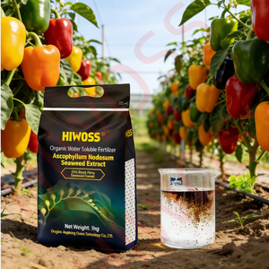 Polvere di Estratto di Alghe Nere <span class=keywords><strong>Naturali</strong></span> ad Alto Contenuto di Estratto Marino, Fertilizzante Vegetale <span class=keywords><strong>per</strong></span> la Promozione della Crescita di Frutta e Verdura - Product Image 3