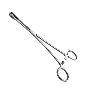 Rampley <b>Sponge</b> Holding Forceps 25cm Stainless Steel Surgical Dressing Forceps Ring <b>Handle</b> Reusable Medical Instrument - Product Image 1
