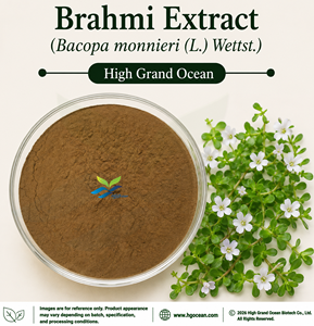 โรงงาน HGO จัดหาสารสกัดบราห์มีโดยตรง (Bacopa monnieri (L.) Wettst.) เกรดอาหาร 4:1 5:1 10:1 20:1 100:1 200:1 (อัตราส่วนสารสกัด) - Product Image 1