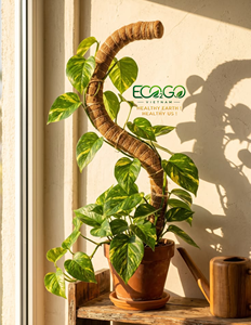 Poste Flexible de Fibra de Coco |   Soporte para Plantas de Fibra de Coco Flexible con Núcleo Metálico |   Para Monstera, Philodendron y Plantas Trepadoras - Product Image 6
