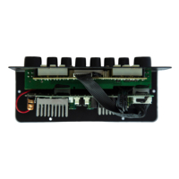EX 666 12V Stereo Amplifikatör Kartı 50W*2 TPA3116D2 Çift Mikrofon Gitar Girişi USB TF AUX Kayıt Vokal İptal Güç Amplifikatörü Modülü