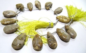 Cuentas de coral fósil natural en forma de pera, lisas y suaves, tipo briolette, en hilo de 8 pulgadas de largo. - Product Image 2