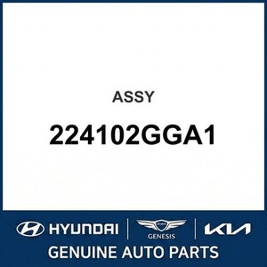 Elantra Nuevo, Otras Piezas y Accesorios para Autos y Camionetas 224102GGA1 - Product Image 1