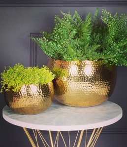 Compre un macetero decorativo de metal de primera calidad con un diseño de acabado premium para una elegante exhibición en jardines interiores y exteriores. - Product Image 1