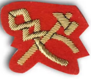 Insignia Bordada a Mano de Alta Calidad para Blazer, Insignia de Ala Personalizada para Uniforme con Pin de Seguridad, Efecto 3D en Relieve, Calidad Premium - Product Image 2