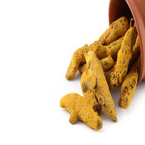 Natural Raw Dried Whole Turmeric <b>Finger</b> Indian Curcuma Longa Root High Curcumin Premium Quality Spice Bulk Wholesale Exporter - Product Image 6