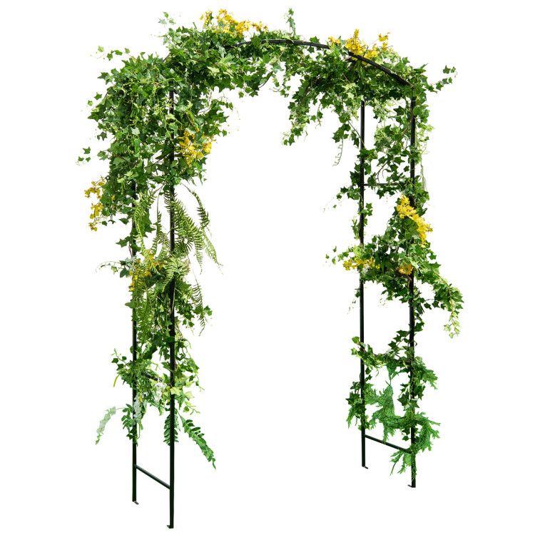 Black Color
