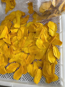 Tranches de Jackfruit du Vietnam, Fournisseur d'Usine de Premier Plan, Goût Sucré, 100% Naturel, Chips de Fruits Séchés Moelleux, Sans Sucre, Emballage Sous Vide - Product Image 6