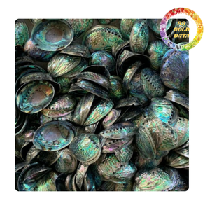 Coquille d'abalone verte polie pour la mosaïque en résine et les projets d'artisanat DIY - Product Image 6