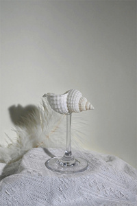 Copa de Vino de Concha de Abulón - Copa Iridiscente Estilo Sirena para Brindis de Boda en la Playa, Regalo Único para Damas de Honor, Elegante Plato para Adornos - Product Image 5