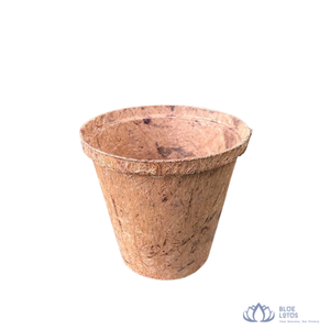 [BEST SELLER] |   Panier de plantation carré biodégradable en fibre de coco pour l'agriculture, les pépinières et l'exportation de semis du Vietnam - Product Image 1