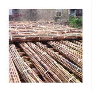 Varas de Bambú Natural, Forma Redonda, 2m de Longitud, Origen Vietnam, para Muebles y Artesanías - Product Image 1