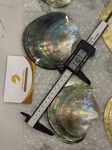 Plateau en nacre de fabrication artisanale du Vietnam, en coquillage naturel, pour plateau à bijoux, décoration de table et service - Product Image 6