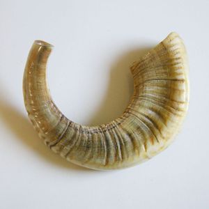Shofar naturel en corne de bélier, instrument musical authentique en corne animale, instrument sonore soufflable, artefact religieux traditionnel, vente en gros - Product Image 2