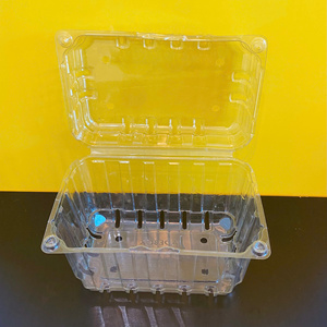 Échantillons gratuits Boîte rectangulaire jetable en PET pour emporter Emballage pour salade de fruits Emballage en plastique transparent Contenant pour fruits frais avec couvercle - Product Image 1