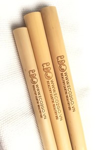 Pailles à boire réutilisables en bambou en gros pour les restaurants et bars de cocktails - Gravure de logo - Taille L15cmxd6-7mm - Product Image 1