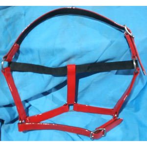 EN VENTA PVC caballo Halter árabe Halter India hizo halters color TEAL IN Dollar 4 full COB Shetland - Product Image 5
