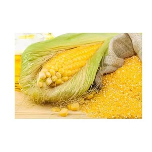 Proveedor de Harina de Gluten de Maíz, Aditivos en Polvo de Grado Alimenticio con un 60% Mínimo de Contenido de Gluten - Product Image 4