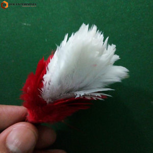 Plumas Decorativas de Primera Calidad, Color y Logotipo Personalizados, Accesorio Ligero para Disfraces y Sombreros - Product Image 3