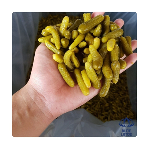 Concombre mariné le plus vendu, pur, sûr et croustillant, en pot, pour garniture de salade, apport quotidien de sodium, vente en gros directe, exportation - Product Image 4
