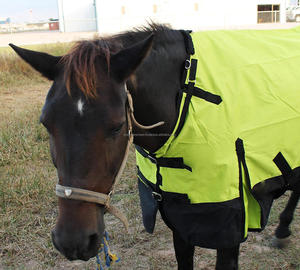 Tapis de Cheval de Designer Doublure en Nylon Remplissage en Coton Fourrure Imperméable Tissu Toile Noir Vert. Tapis de participation d'hiver d'été incroyables - Product Image 1