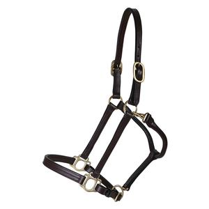 Halters Mini Indian Leather Show Horse Halters Anatómico Leather Horse Halter - Product Image 1