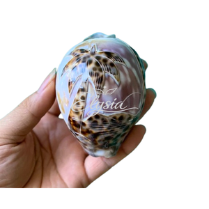 Natural Tiger Cowrie Pig Snail Shell Handmade Carved Artwork <b>Large</b> Seashell Decorative Ornament Coastal Beach Home Decor <b>Gift</b> - Product Image 1