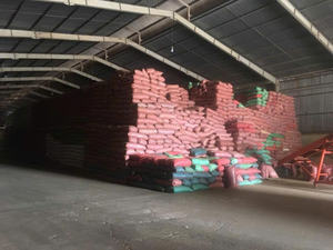 Café Verde Robusta y Arábica Vietnamita de Buena Calidad, Grado 1 S14 S16 S18, Mejor Precio, Buena Calidad, Bolsa de 60 KG - Product Image 6