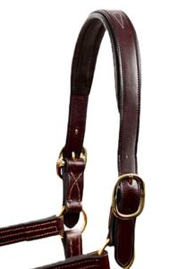 Licou en cuir de cheval personnalisé de haute qualité avec un design rembourré doux - Product Image 3