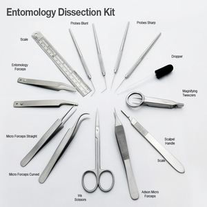 Kit de Disecación Entomológica: Agujas Teaser, Micro Pinzas Adson, Pinzas Entomológicas, Instrumentos Médicos - Product Image 3