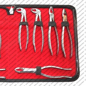 Ensemble de 10 pinces d'extraction dentaire en acier inoxydable allemand, kit de pinces d'extraction dentaire, instrument chirurgical dentaire certifié CE - Product Image 3