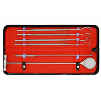 Kit de 6 sondes orthopédiques équin, instruments vétérinaires, outils en acier inoxydable allemand à long manche, haute qualité