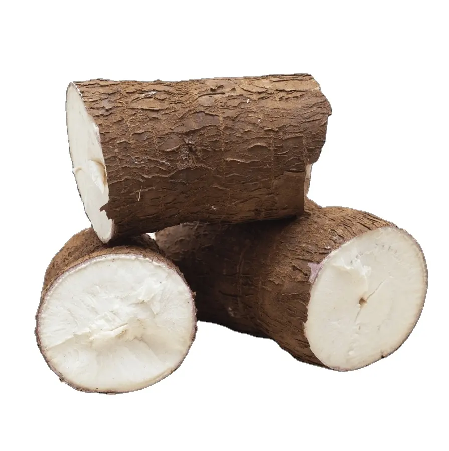 Hairy Brown Peel Cassava from Vietnam Farm Competitive Price Cassava Agriculture Product hairy peel cassava