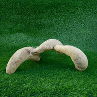 Décoration d'enclos pour reptiles en racine de bambou sculptée, naturelle et faite à la main, pour jungle d'animaux, vivarium, cachette, taille personnalisée, décoration intérieure pour animaux